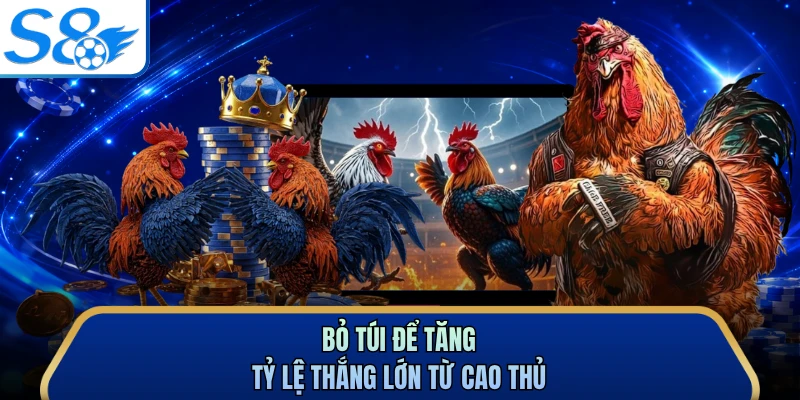 Bỏ túi để tăng tỷ lệ thắng lớn từ cao thủ