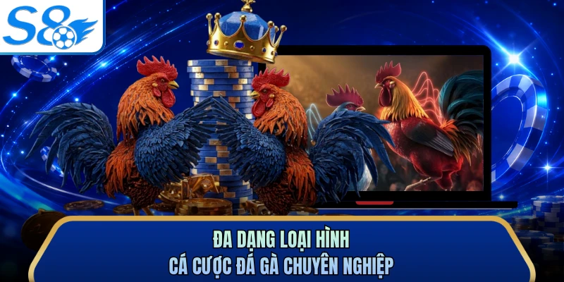 Đa dạng loại hình cá cược đá gà chuyên nghiệp