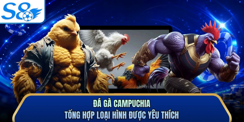 Đá gà Campuchia tổng hợp loại hình được yêu thích