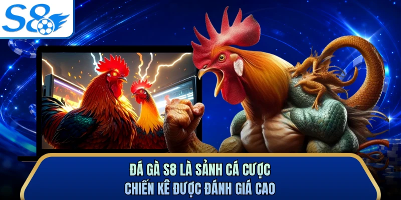 Đá gà S8 là sảnh cá cược chiến kê được đánh giá cao