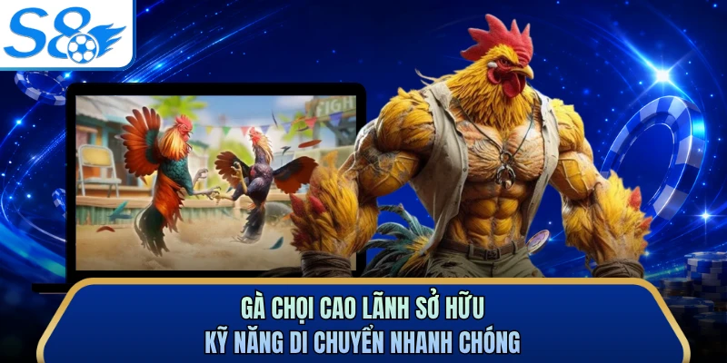 Gà chọi Cao Lãnh sở hữu kỹ năng di chuyển nhanh chóng