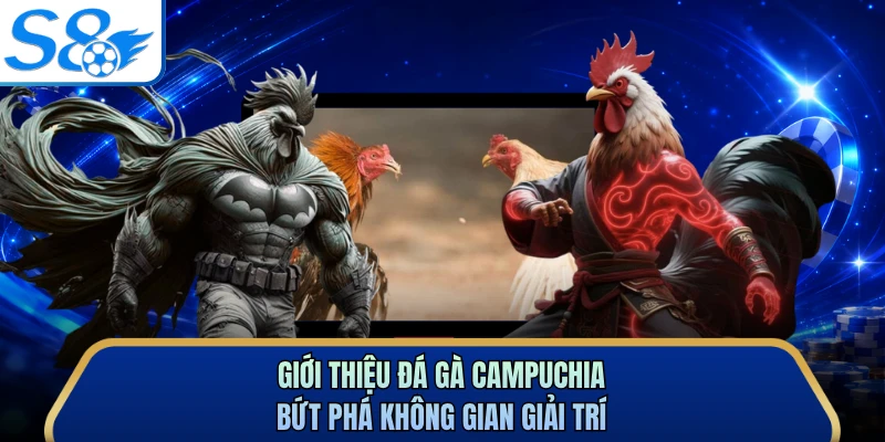 Giới thiệu đá gà Campuchia bứt phá không gian giải trí