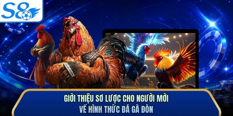 Giới thiệu sơ lược cho người mới về hình thức đá gà đòn