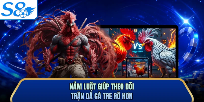 Nắm luật giúp theo dõi trận đá gà tre rõ hơn